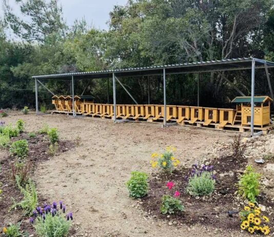 Οι γάτες του Νοσοκομείου Ρόδου απέκτησαν το δικό τους καταφύγιο! (Φωτο)