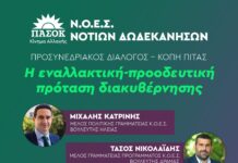 Η ΝΟΕΣ Πασόκ κόβει την πίτα της με τους Μιχάλη Κατρίνη και Σταύρο Νικολαΐδη