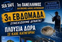 Νεαρός από το Καστελόριζο έσπασε το ρεκόρ: Ψάρεψε 162 λαγοκέφαλους στον πανελλήνιο διαγωνισμό!